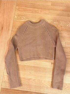 Zara Ribbed Cropped Crewneck Sweater - Camel/Tan